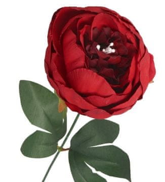 shumee POTONIKA, POSAMEZNA VELIKA VEJA POTONIKE, KOT REALNA