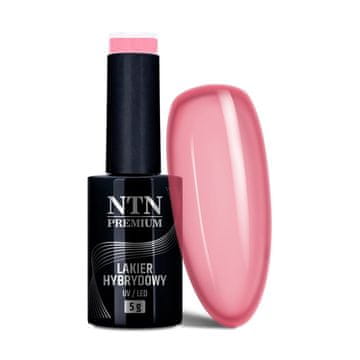 NTN Ntn Premium Romantica Collection hibridni lak za nohte 5 g št. 108