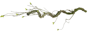 shumee UMETNA PENA KORENINA DEKORATIVNA VEJA