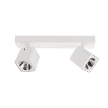 Italux LED žarnica 10W AVEIRO SPL319812BWH Italux