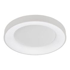 Italux Stropna svetilka Italux Giulia 5304850RCWH4