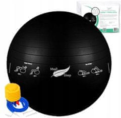shumee REHABILITACIJSKA GIMNASTIČNA ŽOGA ZA VADBE, FITNES TRENING S ČRPALKO 65 cm
