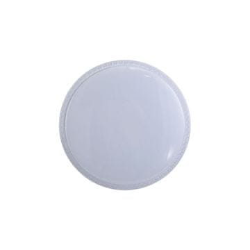 Italux LED stropna svetilka 12W Borla PLF63748SCL Italux