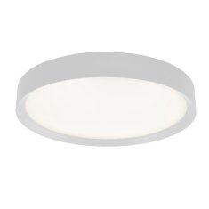 Italux Stropna svetilka Marcela 5309835RCWH3 Italux