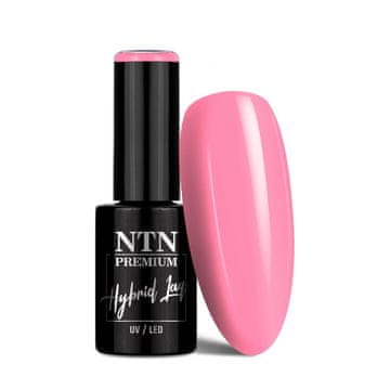 NTN Ntn Premium hibridni lak za nohte Miss Universe Collection 5g št. 33