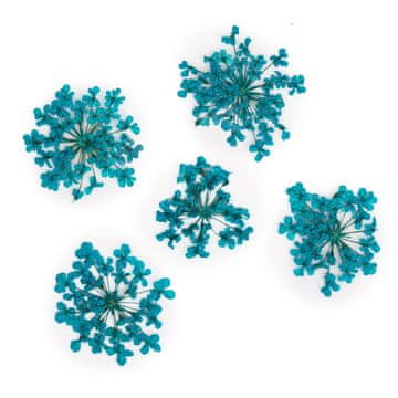 shumee MollyLac Turkizne posušene rožice za nohte 5 kosov