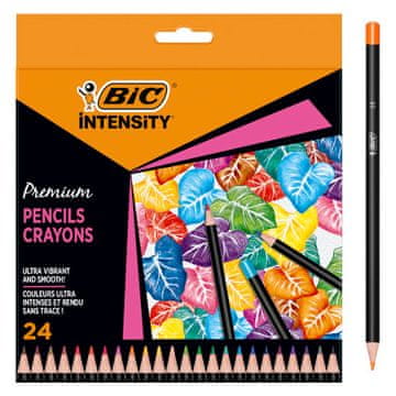 shumee Škatla za pisanje svinčnikov BIC Intensity Premium, 24 kosov