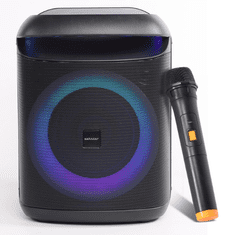 Zehnder PB-400 KARAOKE ZVOČNIK