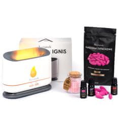 shumee Komplet dišav - oljni difuzor, sojina sveča kot darilo