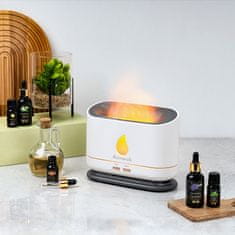 shumee Komplet dišav - oljni difuzor, sojina sveča kot darilo