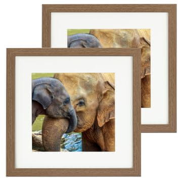 shumee Komplet 2 okvirjev za fotografije, za steno, kvadratni, 28x28 cm, s paspartujem 19x19, hrast