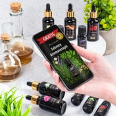 shumee NARAVNA ETERIČNA OLJA LIMONSKA TRAVA Aromaholik 2 x 30 ml