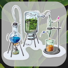 shumee Darilni set naravnih eteričnih olj z lesenim stojalom - Premium