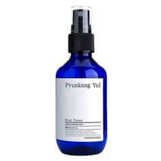 Vlažilni tonik za kožo (Mist Toner) 100 ml