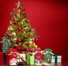 shumee BOŽIČNE VREČKE ZA EMBALAŽO DARILNE VREČKE VREČKE 8 KOSOV [SE-WOR]