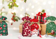 shumee BOŽIČNE VREČKE ZA EMBALAŽO DARILNE VREČKE VREČKE 8 KOSOV [SE-WOR]