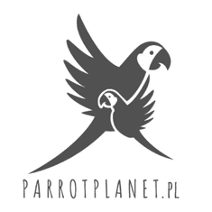 Green Wood Papagajska pojedina - komplet 2 posodic za vse papige M