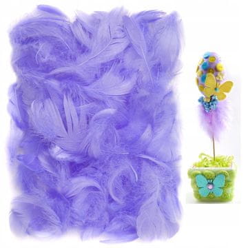 shumee LILA DEKORATIVNO PERE dekorativno 10 g 5-12 cm scrapbooking DpCraft