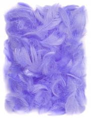 shumee LILA DEKORATIVNO PERE dekorativno 10 g 5-12 cm scrapbooking DpCraft