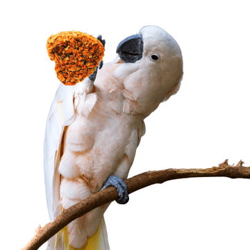 shumee Srce s korenjem - dobrote, narejene z ljubeznijo za vse papige