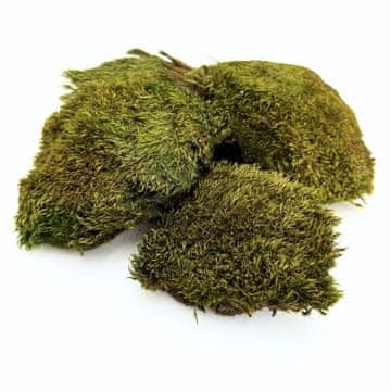 shumee BioClumb Moss blazinasti mah, šopi 100 g