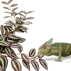 shumee Umetna tropska rastlina BioBush No6 za terarij, pajek