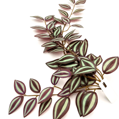 shumee Umetna tropska rastlina BioBush No6 za terarij, pajek