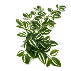 shumee Umetna tropska rastlina BioBush No2 za terarij, pajek