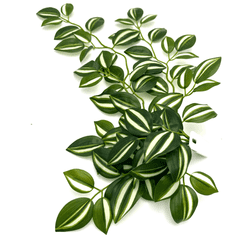 shumee Umetna tropska rastlina BioBush No2 za terarij, pajek