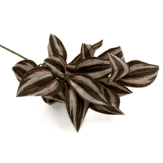 shumee Umetna rastlina za terarij, pajka, vijolična veja