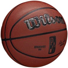 Wilson Žoge Nba Authentic City Paris WZ2016004XB