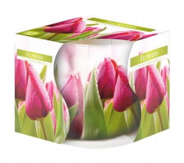 shumee Dišeča sveča v steklu Rože BISPOL 20H