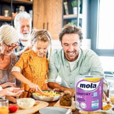 Metsa Tissue Papirnate brisače Mola Comfort 300 listov 2 v 1