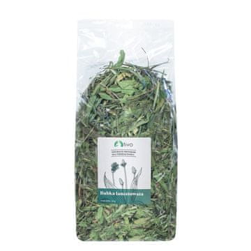 shumee TIVO - Ribwort plantain za vse papige 150 g
