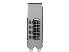 PNY Grafična kartica NVIDIA RTX PRO 2000 Blackwell, 16GB GDDR6 ECC, PCIe 5.0, 4x mDP 2.1a