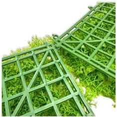 shumee BioPlant Background Umetna podloga Modularno ozadje za terarij Svetli lišaj 25x25 cm