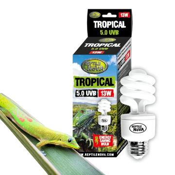 shumee REPTILE NOVA 5.0 UVB 13W - Fluorescentna svetilka za tropske plazilce | UVA + UVB