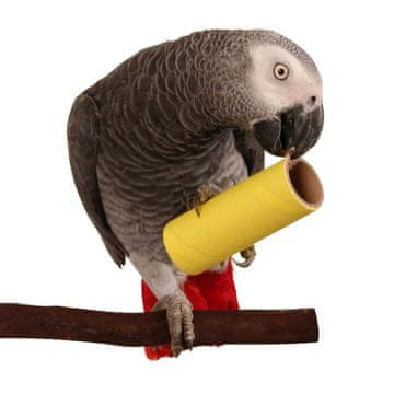 shumee Barvita cev | Igrača v obliki papige | Deli za izdelavo lastnih igrač | 1 kos