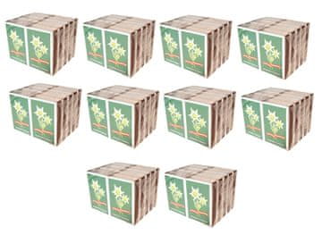 shumee Tradicionalne vžigalice 100 paketov