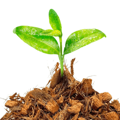 shumee BioCoco Husk Brick Briketi iz kokosovih sekancev, 500 g, zaviti v folijo za terarije