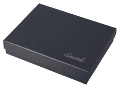 shumee Črni bencinski vžigalnik v kompletu z 2-v-1 polnilom za plin Gentelo