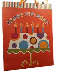 shumee Darilna vrečka za rojstni dan - Dekorativna vrečka 34x26,5 cm