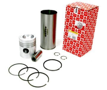 shumee Komplet za popravilo motorja 46910000, 0437890 MF3 ORIGINAL URSUS