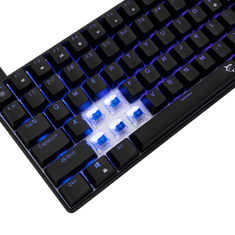 White Shark Tipkovnica GK-005122 HAMACHI Mehanska RGB / HR - MODRA SW.