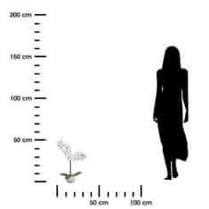 Atmosphera Orhideja Clera s keramičnim lončkom