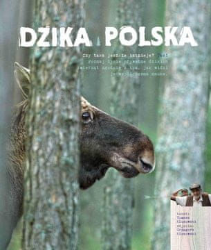 shumee Divja Poljska