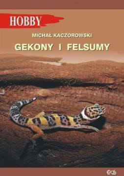 shumee Gekony I Felsumy w.3