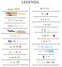 shumee Kazimierz Dolny. Zemljevid mesta / Turistični zemljevid. Galilej