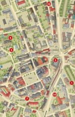 shumee Bielsko-Biała 1:20.000. Zemljevid / načrt mesta. Izdano 2025. Kompas