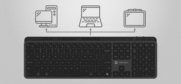 Crake 2 Pro - vertikalna žična miška